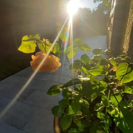 Pres D'un Plan D'eau Et Des Belles Forets ! * Pargny-Filain
